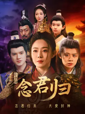 念君归