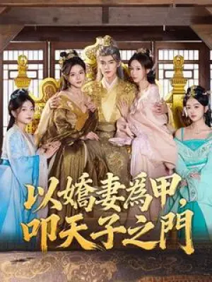 以娇妻为甲,叩天子之门