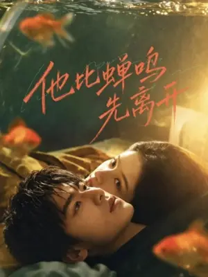 他比蝉鸣先离开