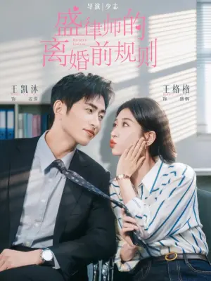盛律师的离婚前规则