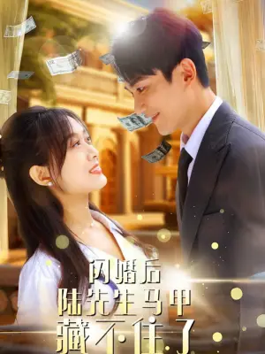 闪婚后陆先生马甲藏不住了