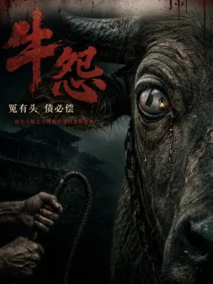 牛怨