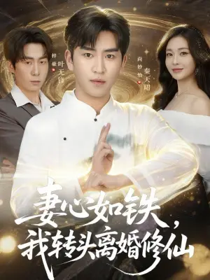 妻心如铁，我转头离婚修仙
