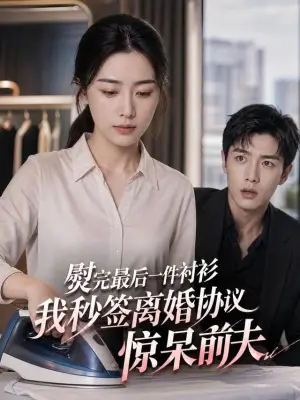 熨完最后一件衬衫,我秒签离婚协议惊呆前夫